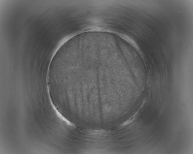 X0000077971247200611171654