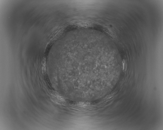 X0000077971251200611171654