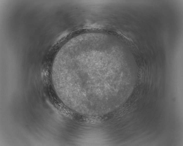 X0000077971254200611171654