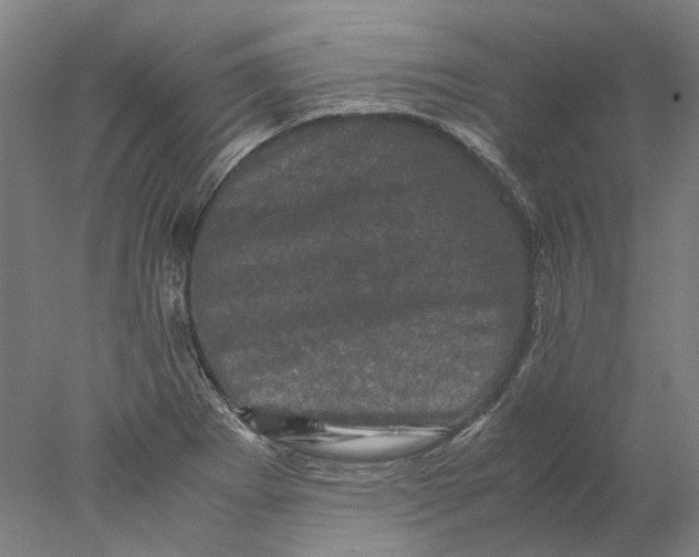 X0000077971273200611171653