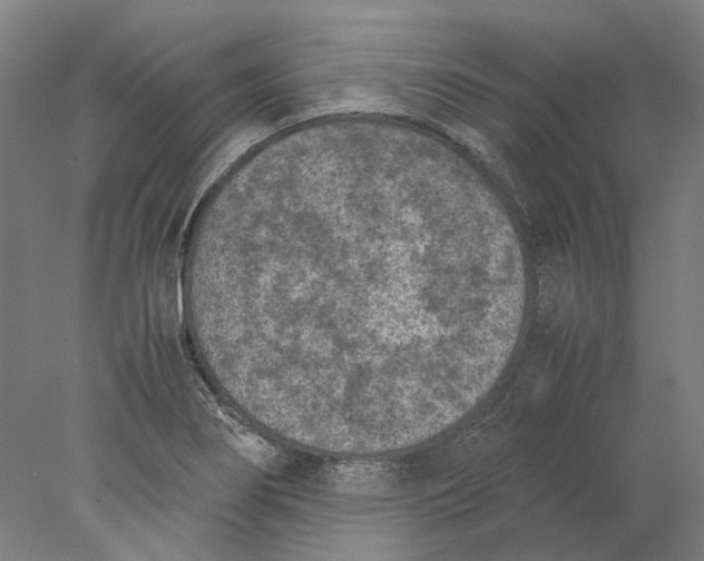 X0000077971274200611171653