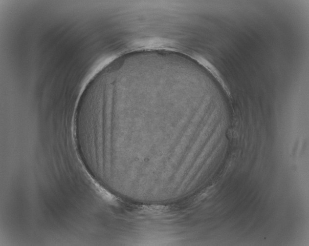 X0000077971285200611171653