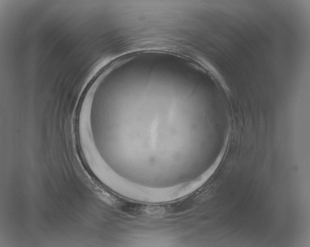 X0000077971291200611171653
