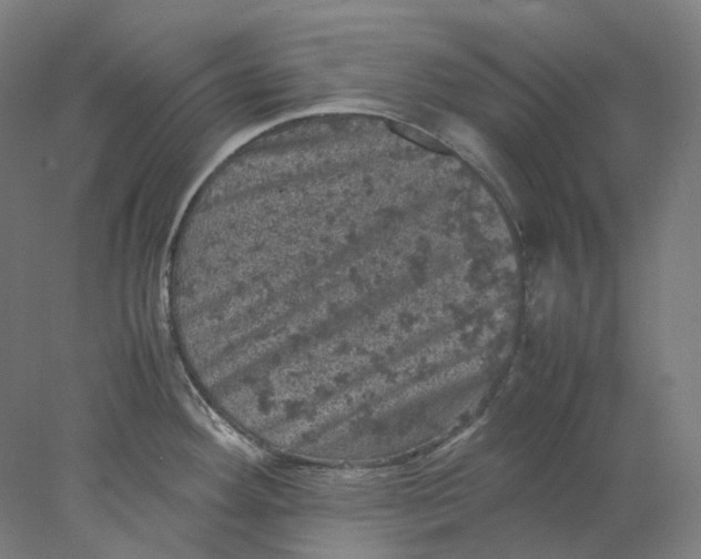 X0000077971292200611171653