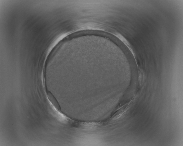 X0000077971293200611171653