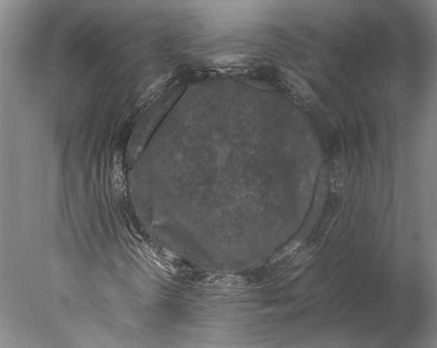 X0000077971298200611171652