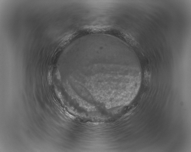 X0000077971300200611171652