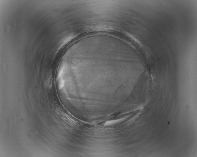 X0000077971306200611171652