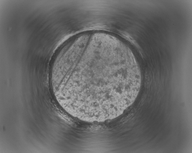 X0000077971316200611171652