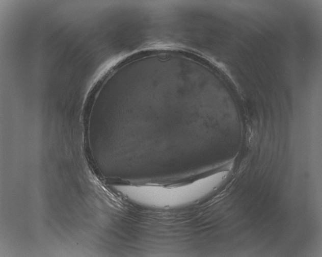 X0000077971319200611171652