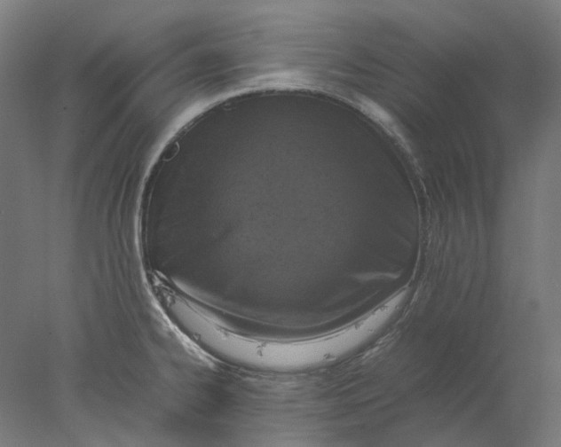 X0000077971334200611171653