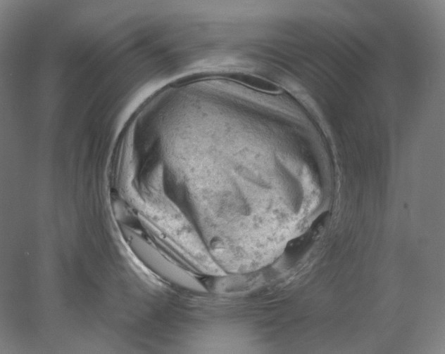 X0000077971344200611171653