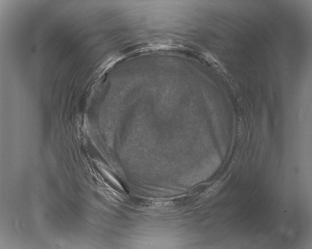 X0000077971353200611171652