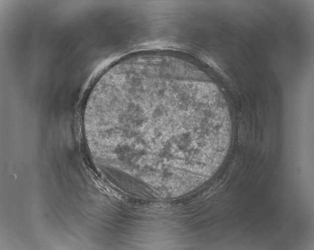 X0000077971358200611171652