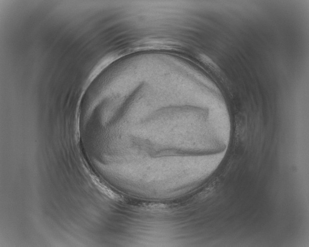 X0000077971370200611171652