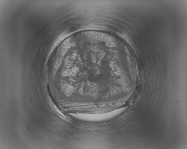X0000077971371200611171652