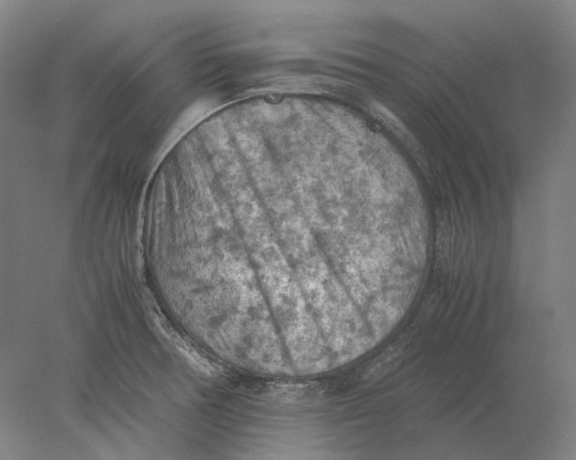 X0000077971378200611171651