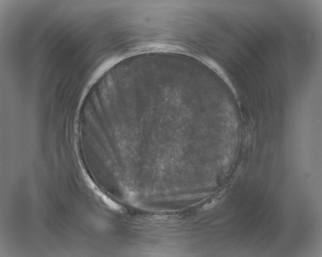 X0000077971381200611171651