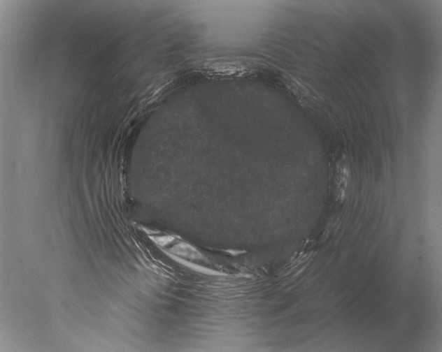 X0000077971394200611171650