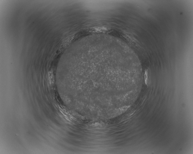 X0000077971395200611171650
