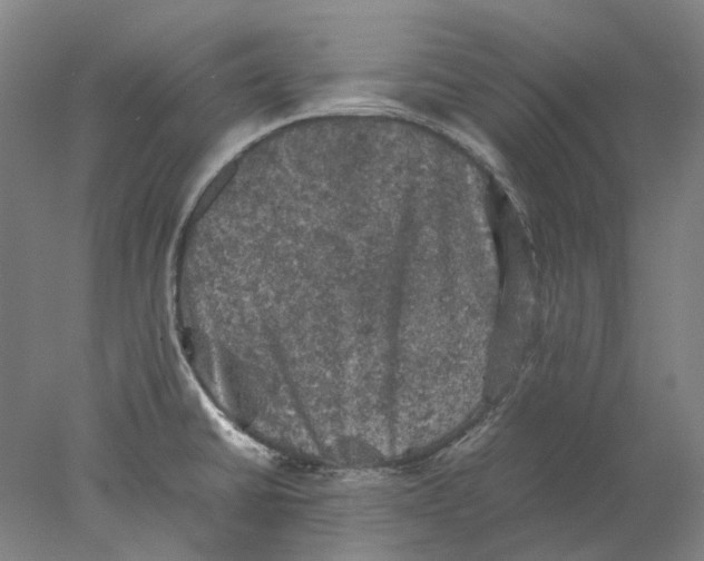 X0000077971430200611171651