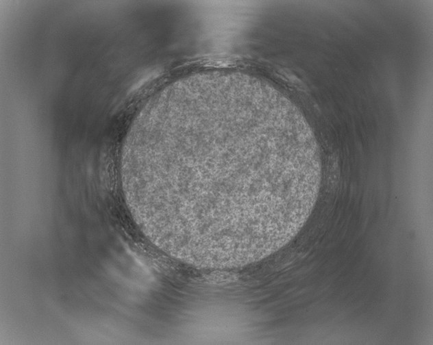 X0000077971446200611171650