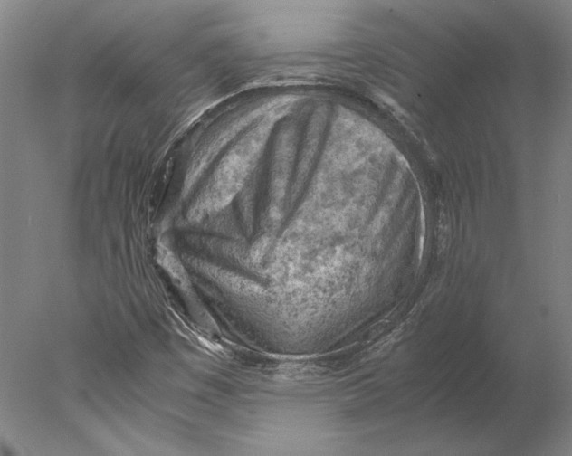 X0000077971449200611171650