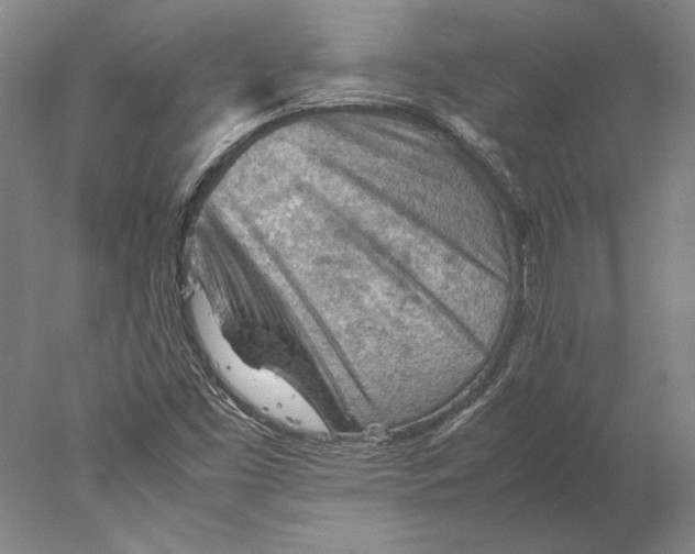 X0000077971453200611171650