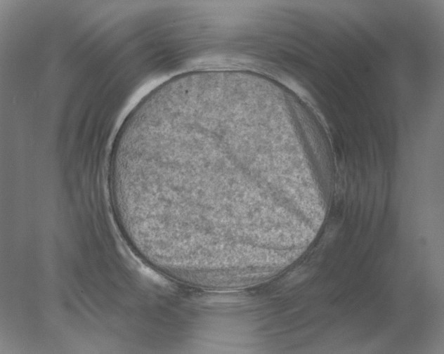 X0000077971486200611171650