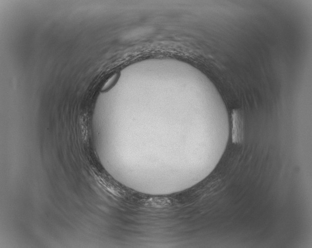 X0000077971491200611171649