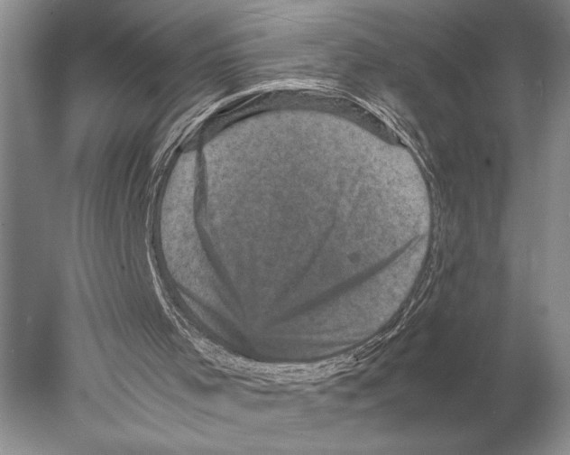 X0000077970001200611251332
