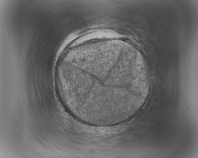 X0000077970006200611251331
