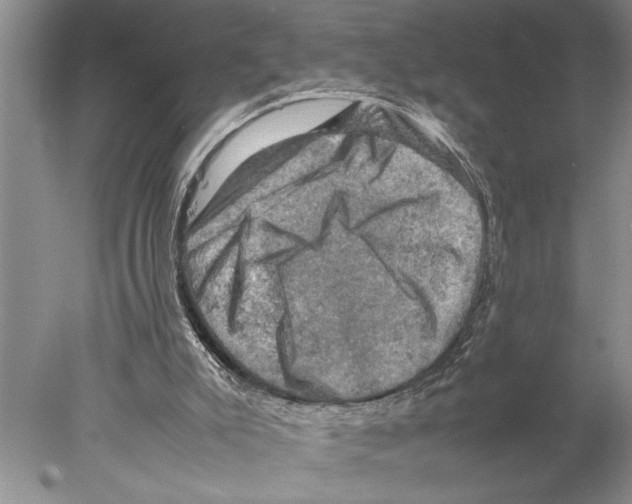 X0000077970007200611251331