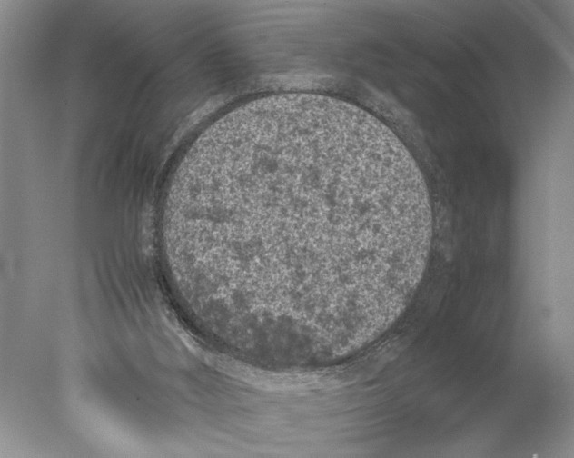 X0000077970012200611251331