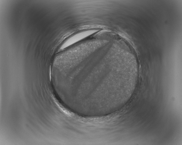 X0000077970013200611251331