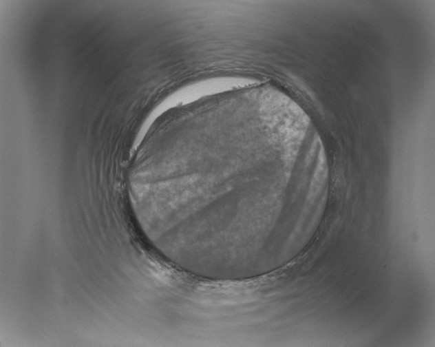 X0000077970025200611251331
