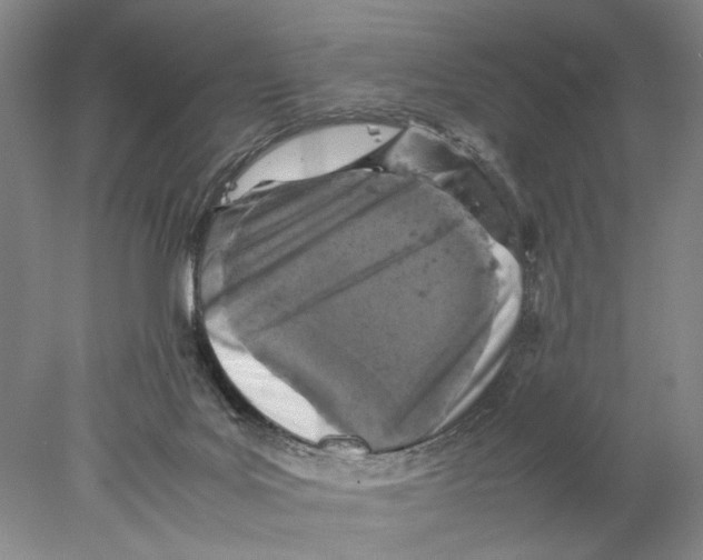 X0000077970027200611251331