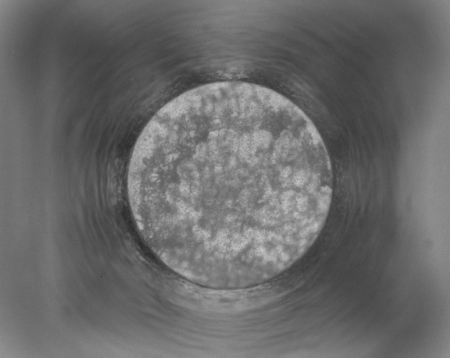 X0000077970030200611251331