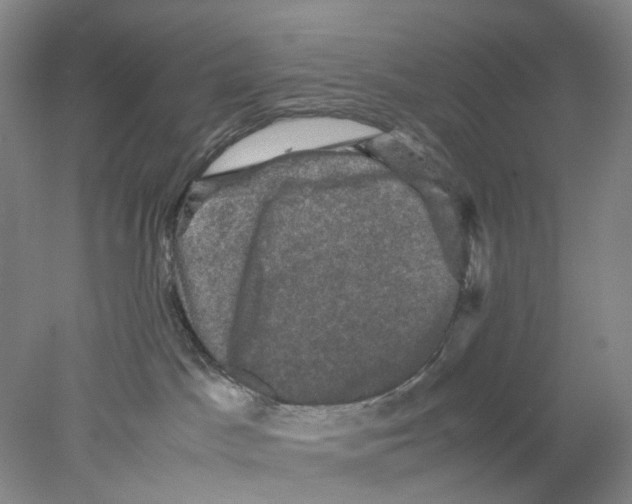 X0000077970045200611251331