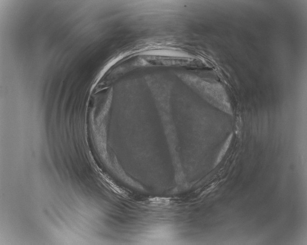 X0000077970052200611251330