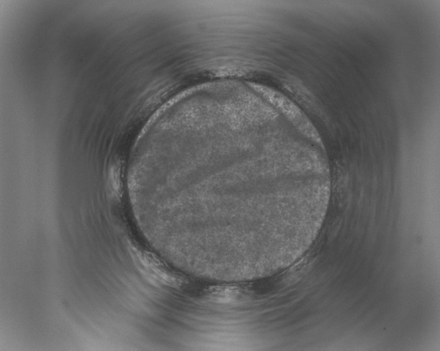 X0000077970074200611251330