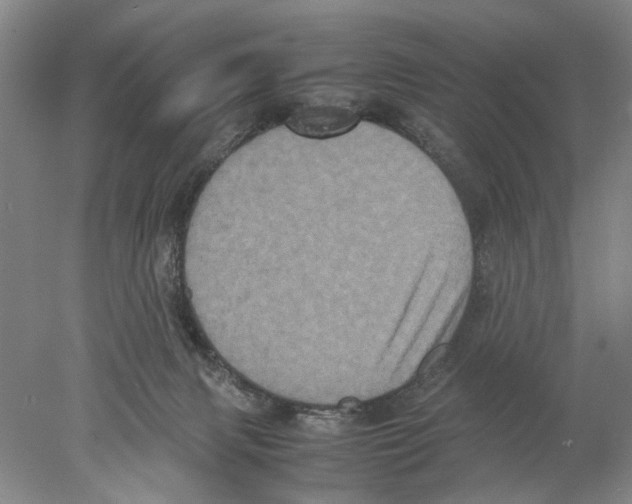X0000077970079200611251330