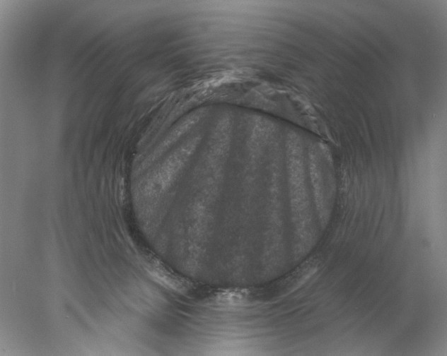 X0000077970080200611251330