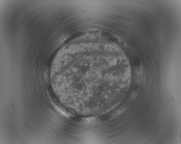 X0000077970092200611251331