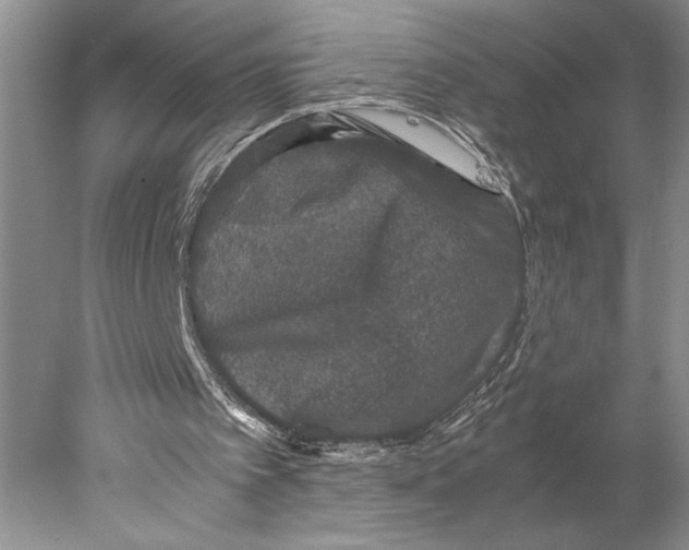 X0000077970097200611251330