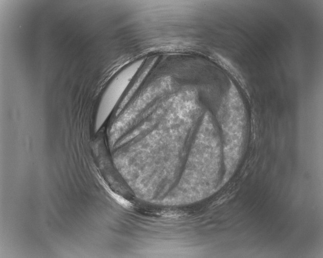 X0000077970105200611251330