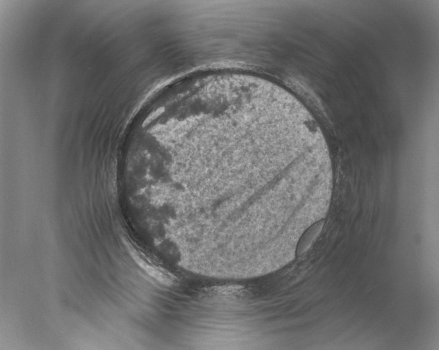 X0000077970108200611251330