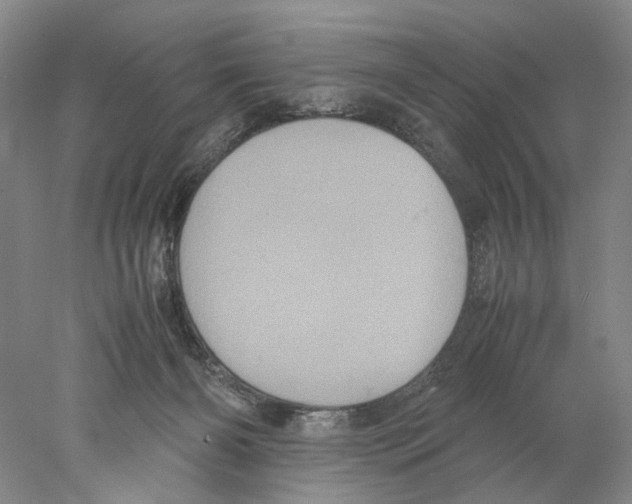 X0000077970126200611251329