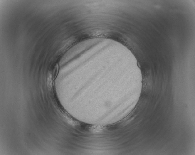 X0000077970142200611251329