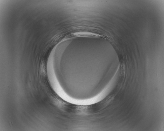 X0000077970143200611251329